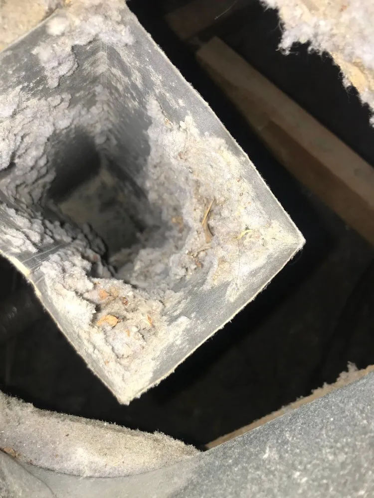 Slide of Quack Quack Duct Cleaning of San Diego