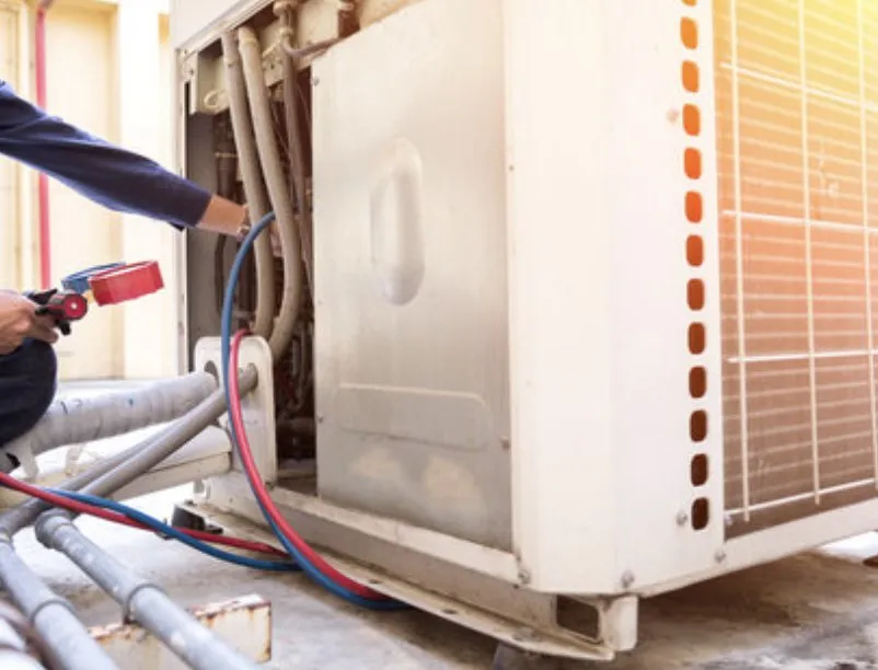 Slide of Quail Services