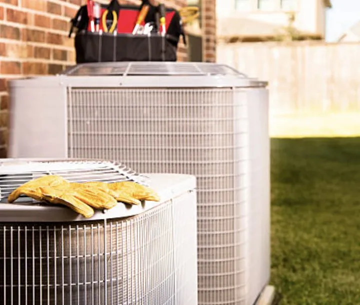 Slide of Quail Services