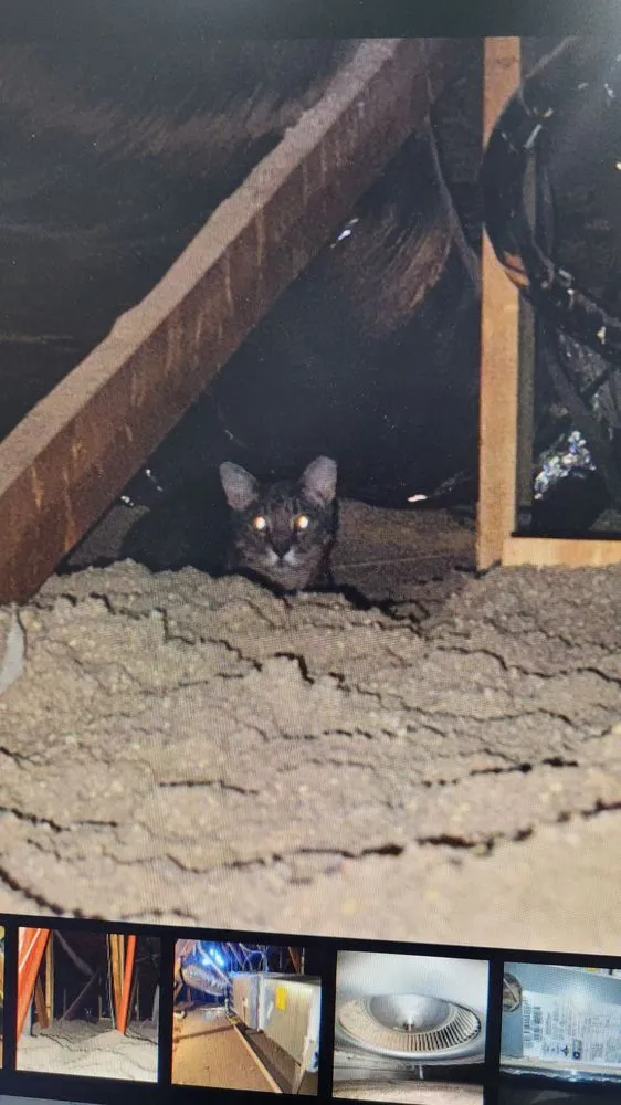 Slide of Qual-Tech Air Conditioning & Heating