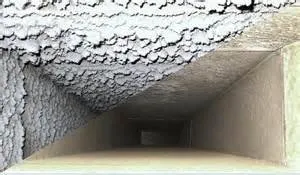 Slide of Quality Air Plus