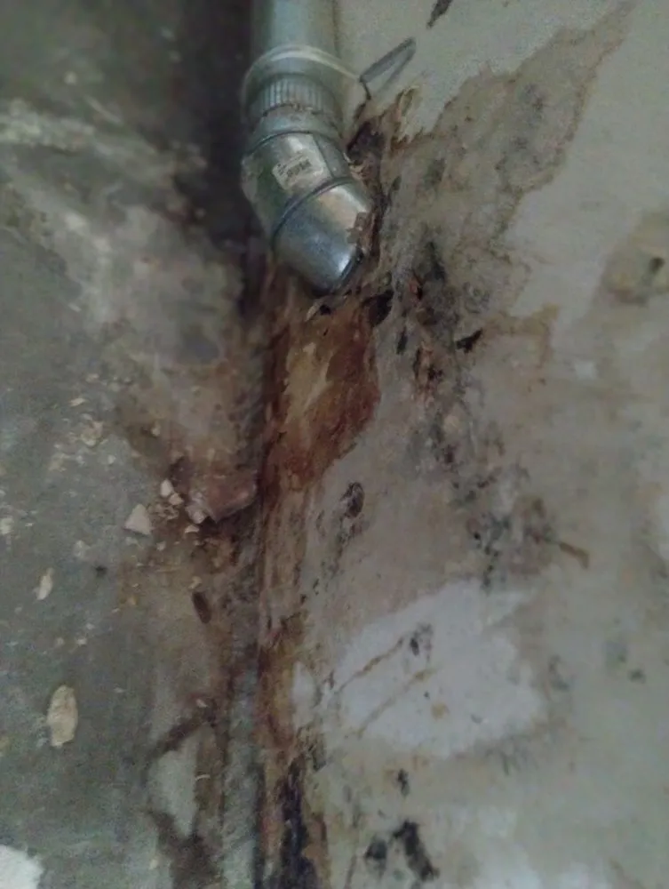 Slide of Quality Conservation Services