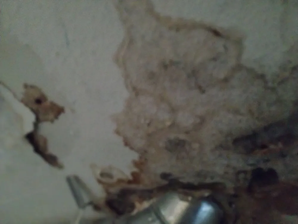 Slide of Quality Conservation Services