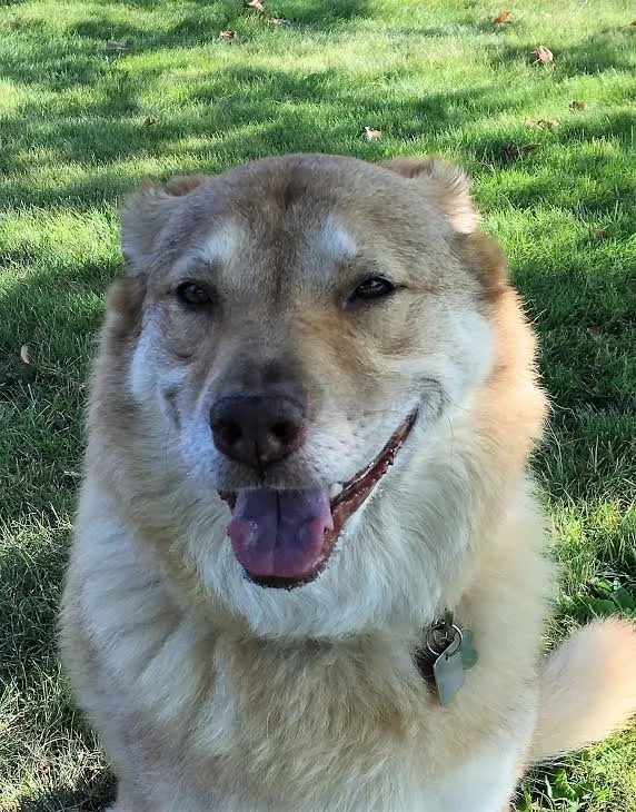 Slide of Quality First Heating and Air