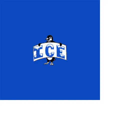 Slide of Quality Ice