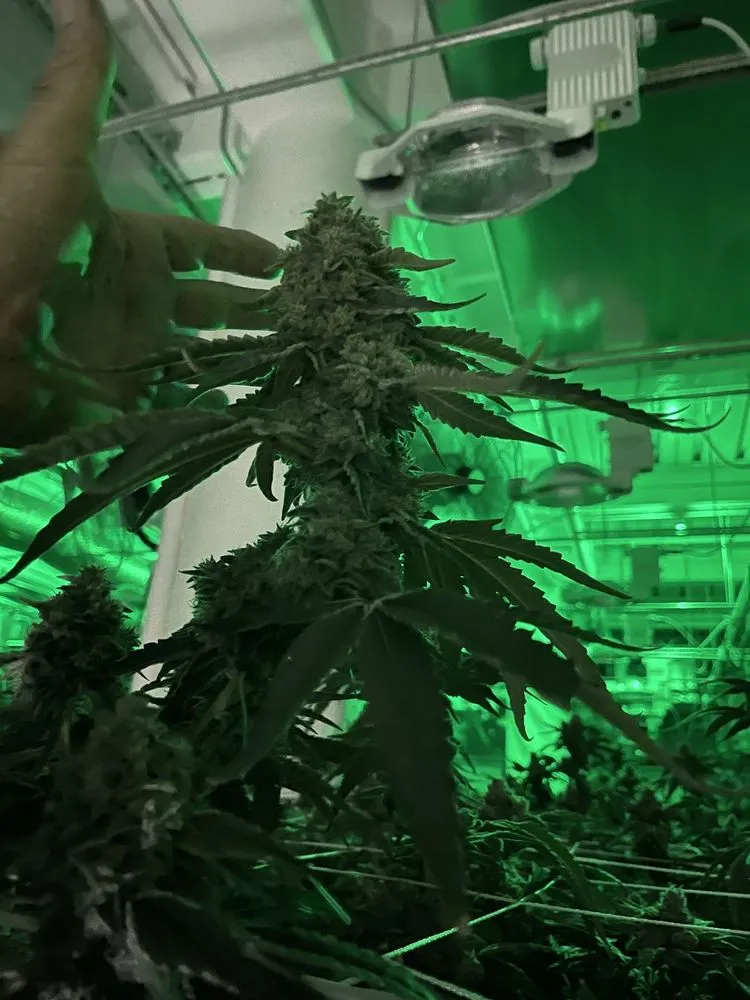 Slide of Quality Indoor Environment