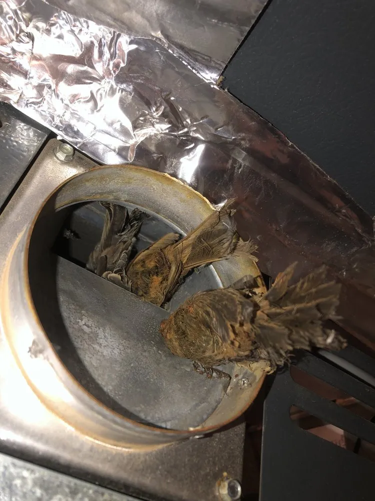 Slide of Quantum cooling & Heating