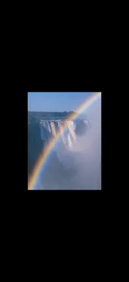 Quiet Light Solutions