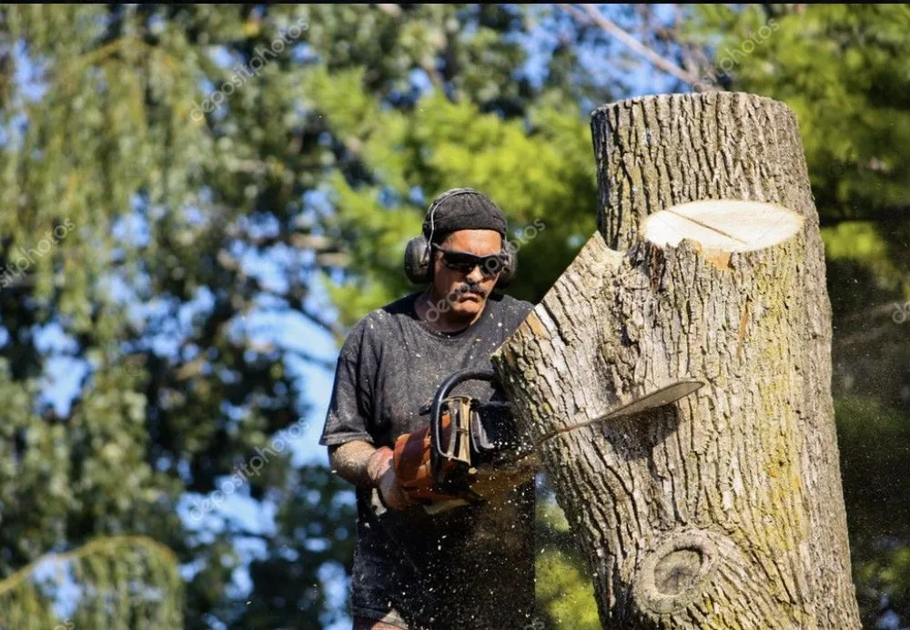 Slide of R & B Services