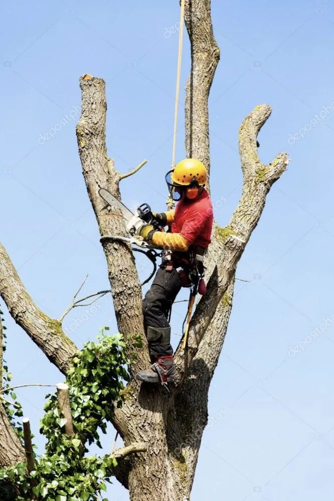 Slide of R & B Services