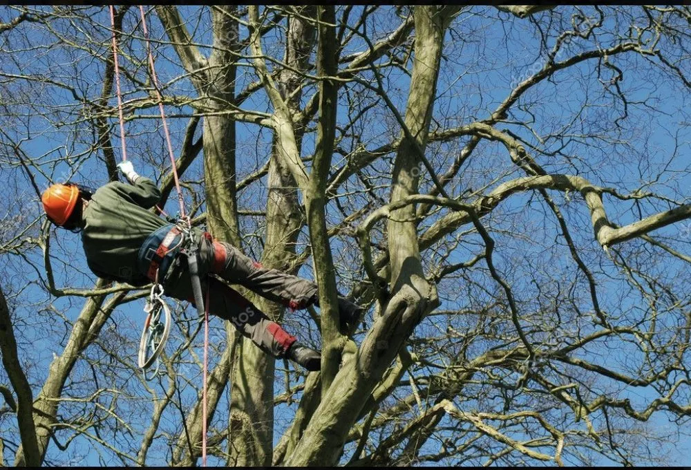 Slide of R & B Services