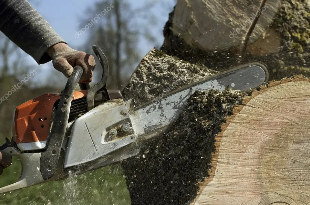 Slide of R & B Services