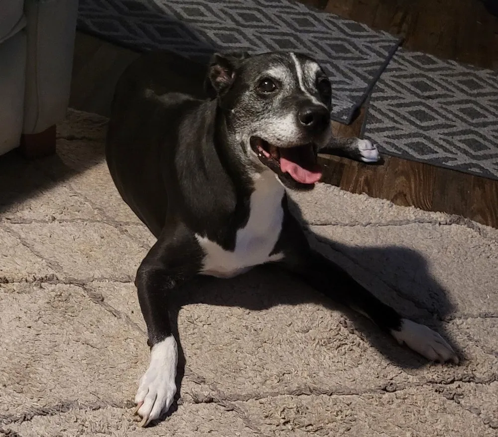 Slide of R & E Heating And Air Conditioning