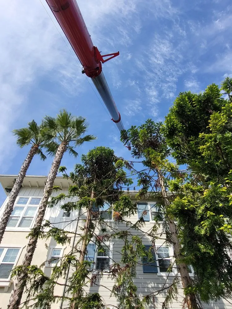 Local AC repair experts serving San Fernando Valley, CA - R 247 HVAC