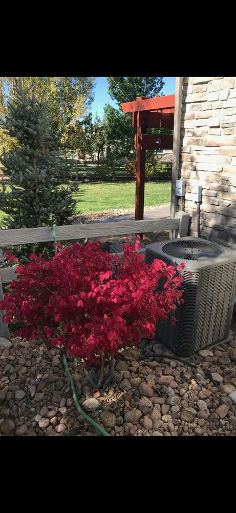 Slide of Rabbit Heating & Air