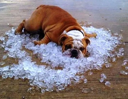 Slide of Radich Heating Air Conditioning & Refrigeration