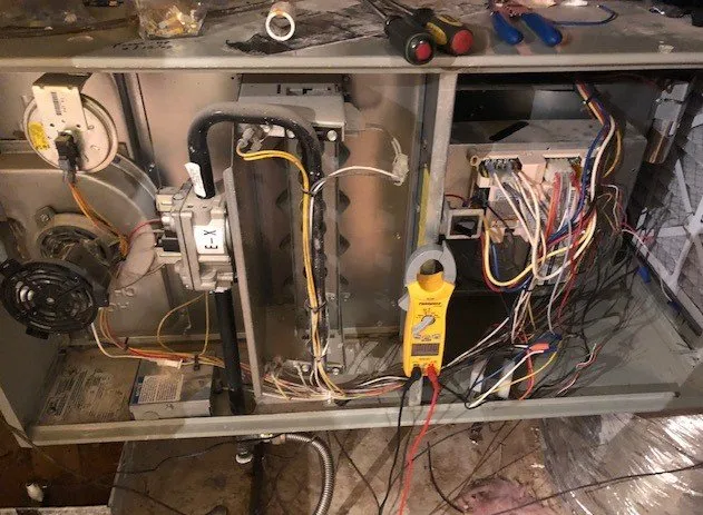 Slide of Rafael services