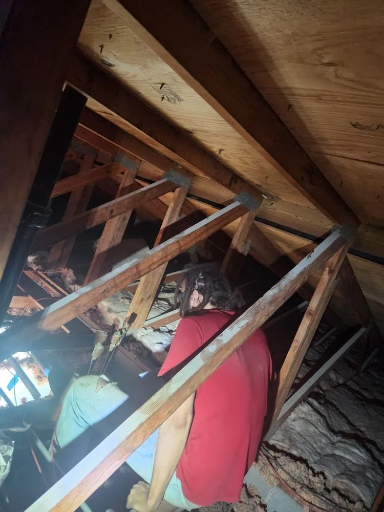 Expert HVAC maintenance for local homeowners in Spotsylvania, VA by Raire
