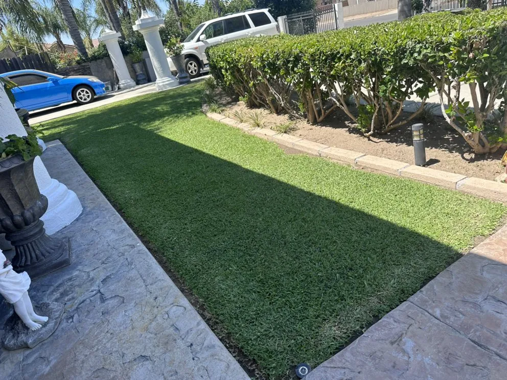 Slide of Ramos Lawn care