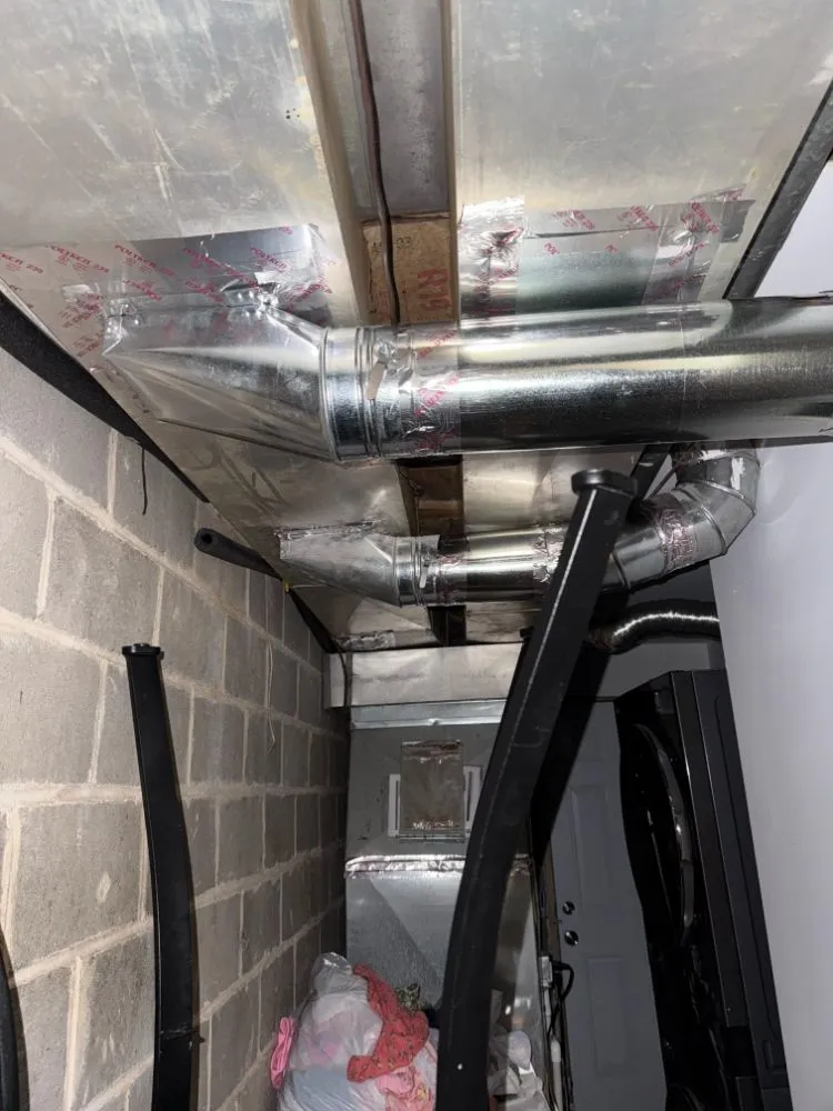 Slide of Rapid Remodeling