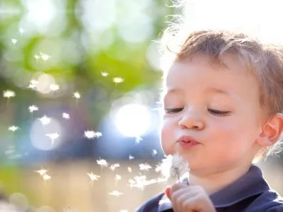 Slide of Rapid Response