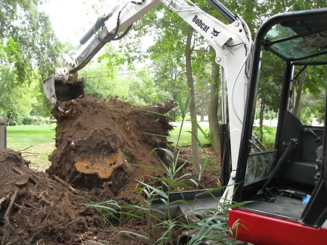 Slide of Rapid Rooter