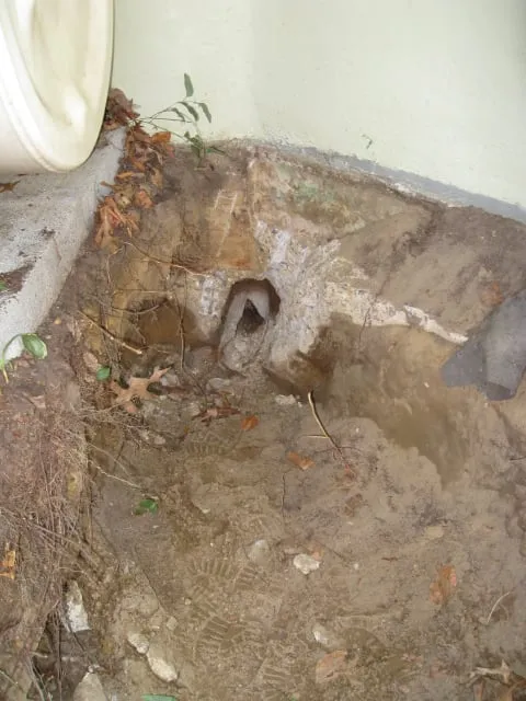 Slide of Rapid Rooter