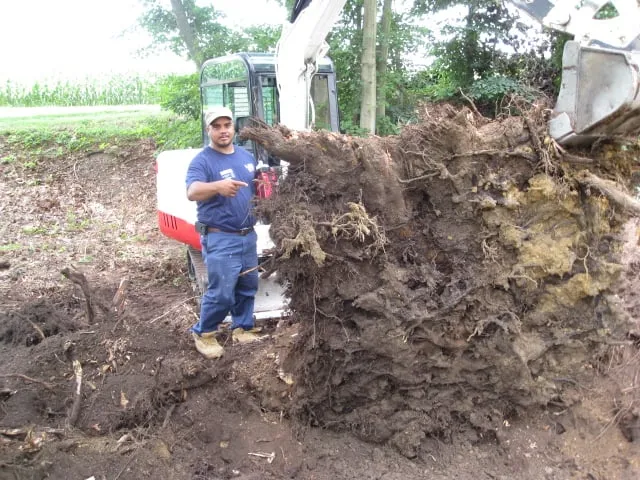 Slide of Rapid Rooter