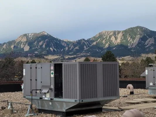 Raptor Mechanical Logo