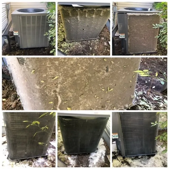 Slide of Rasnick Services