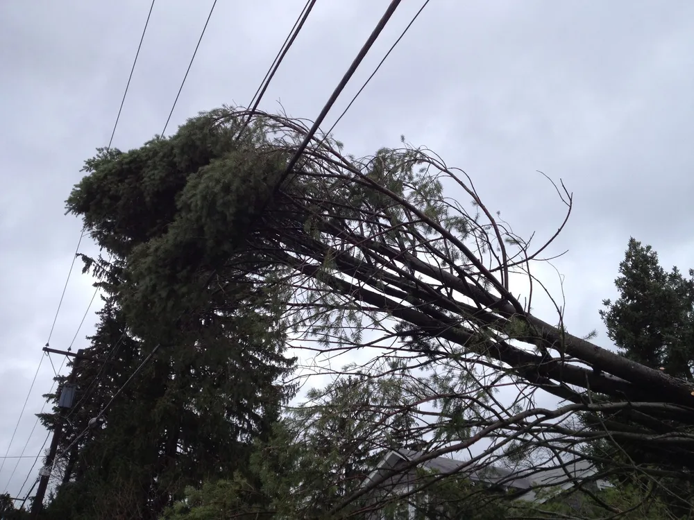 Slide of Ray Brown Jr Services