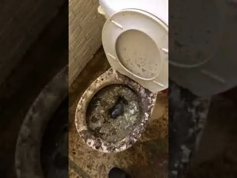 Slide of Ray Flanagan Heating & Plumbing