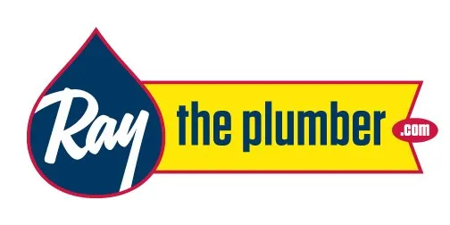 Slide of Ray the Plumber