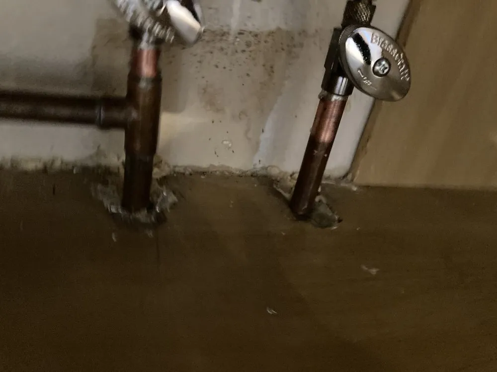 Slide of Ray the Plumber