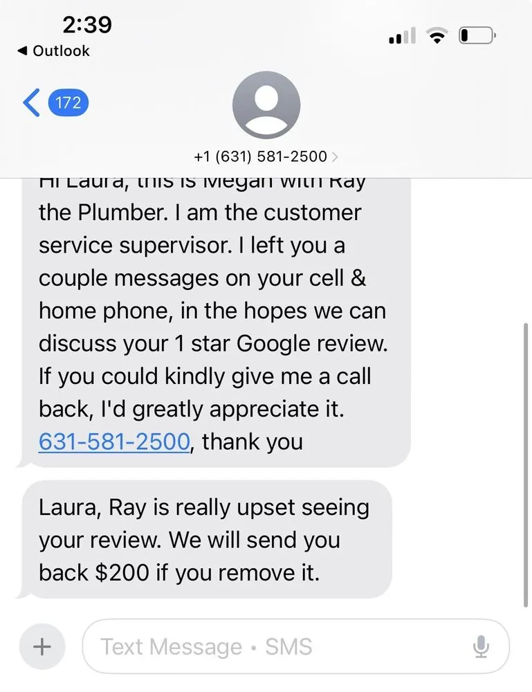 Slide of Ray the Plumber