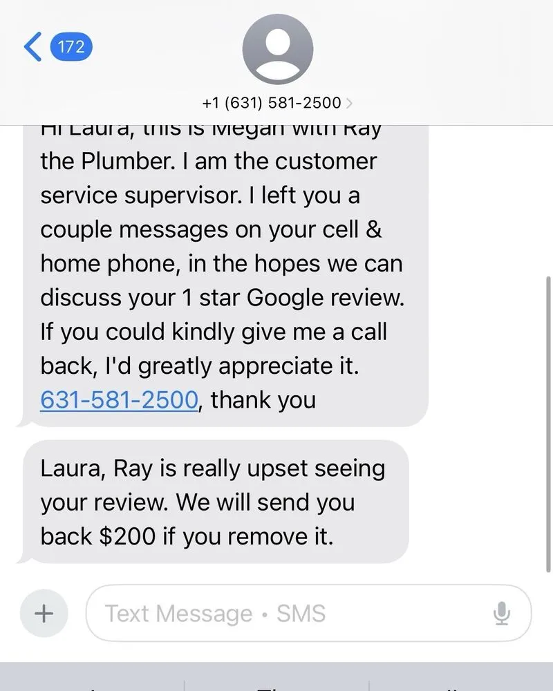 Slide of Ray the Plumber