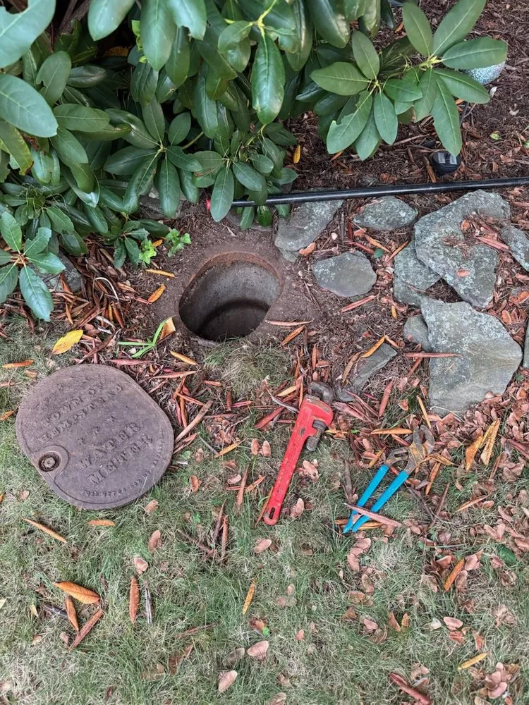 Slide of Ray the Plumber