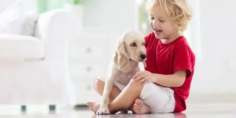 Slide of Raymond Plumbing, Heating & Air Conditioning