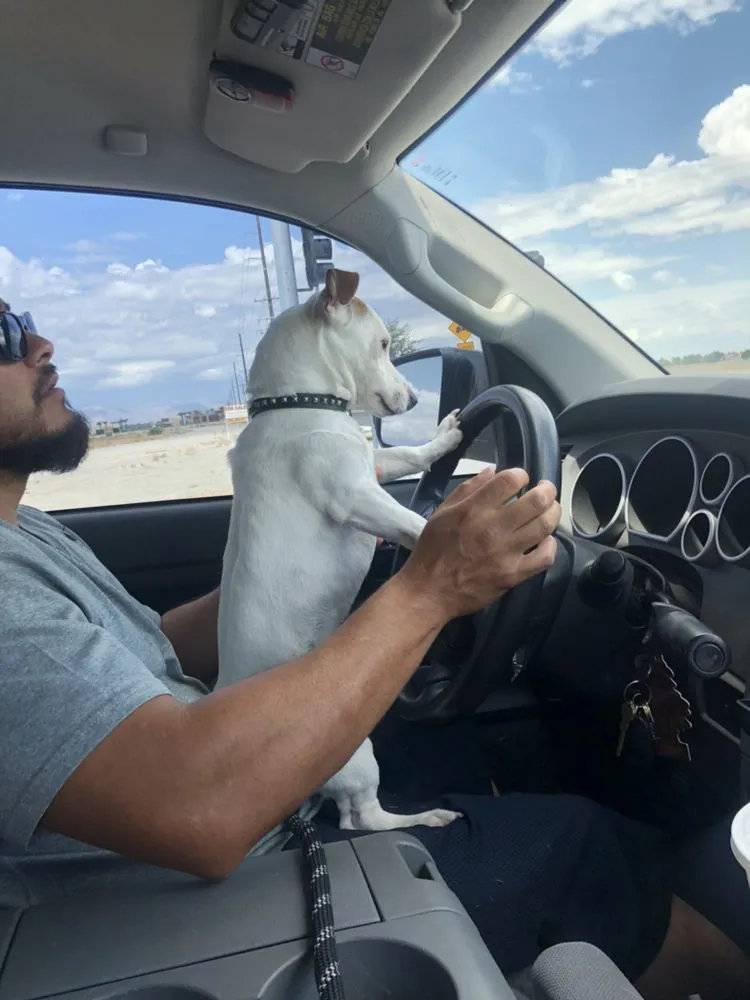 Slide of Ray's Air Conditioning & Heating