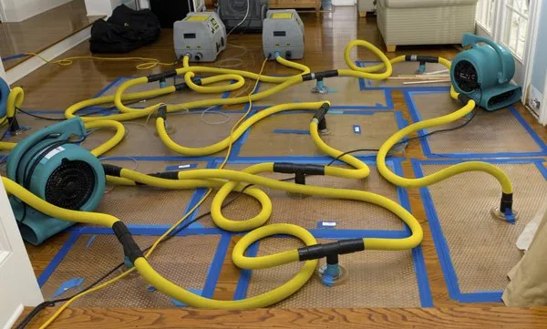 RDS Restoration Logo