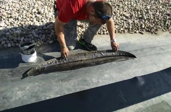 Slide of Read's Roofing & Repair