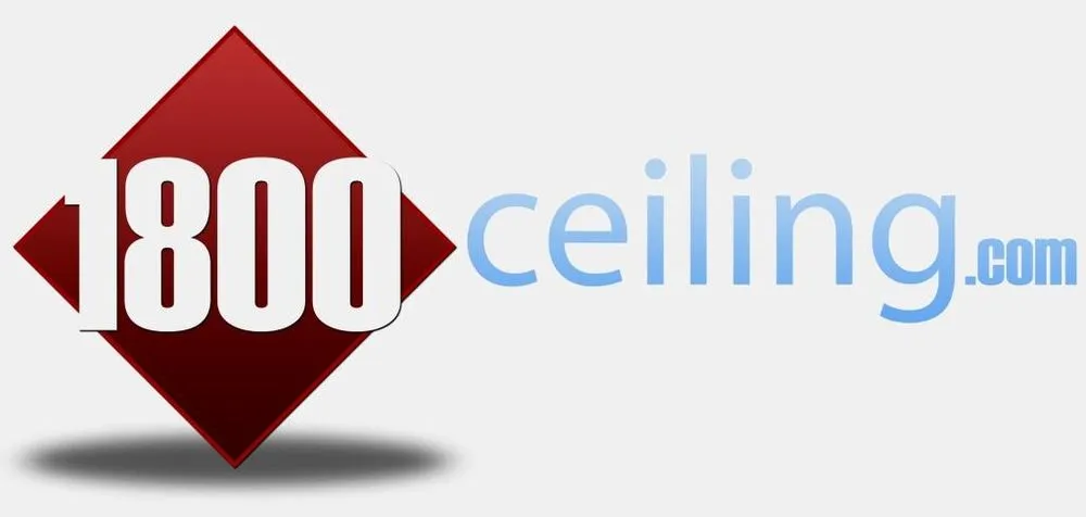 Slide of ReCeil It International