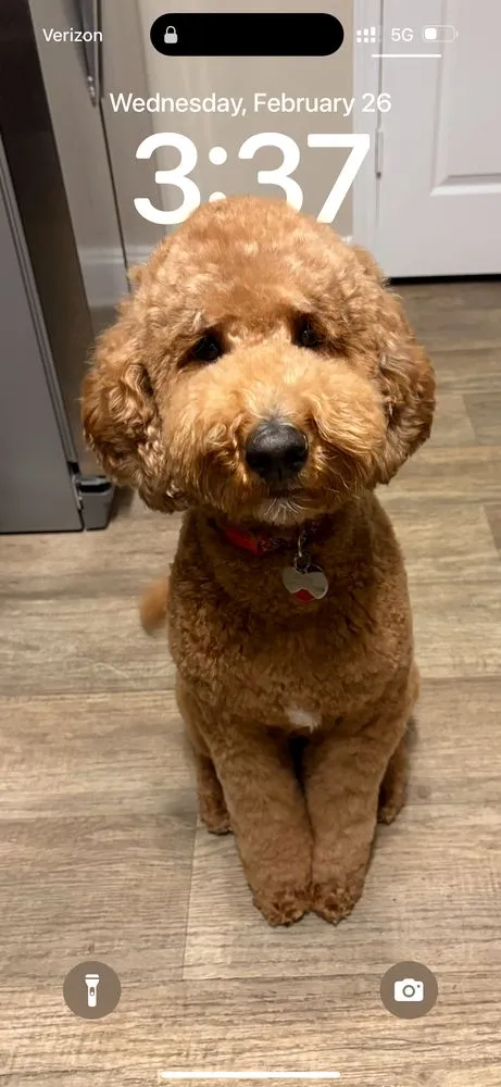 Slide of Reciprocity Refrigeration