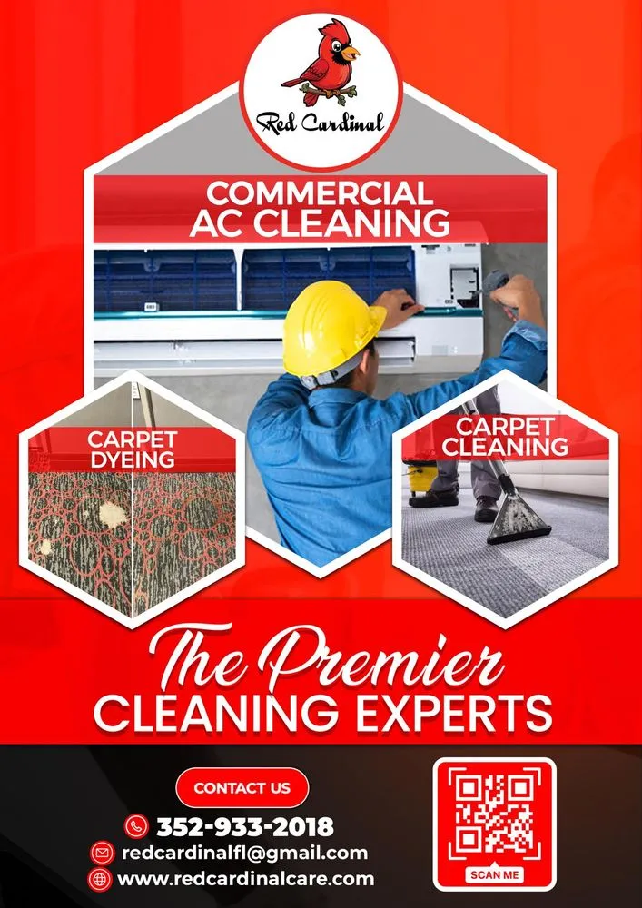 Slide of Red Cardinal