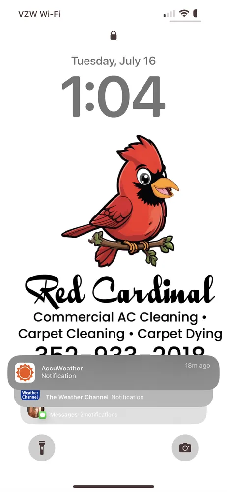 Slide of Red Cardinal