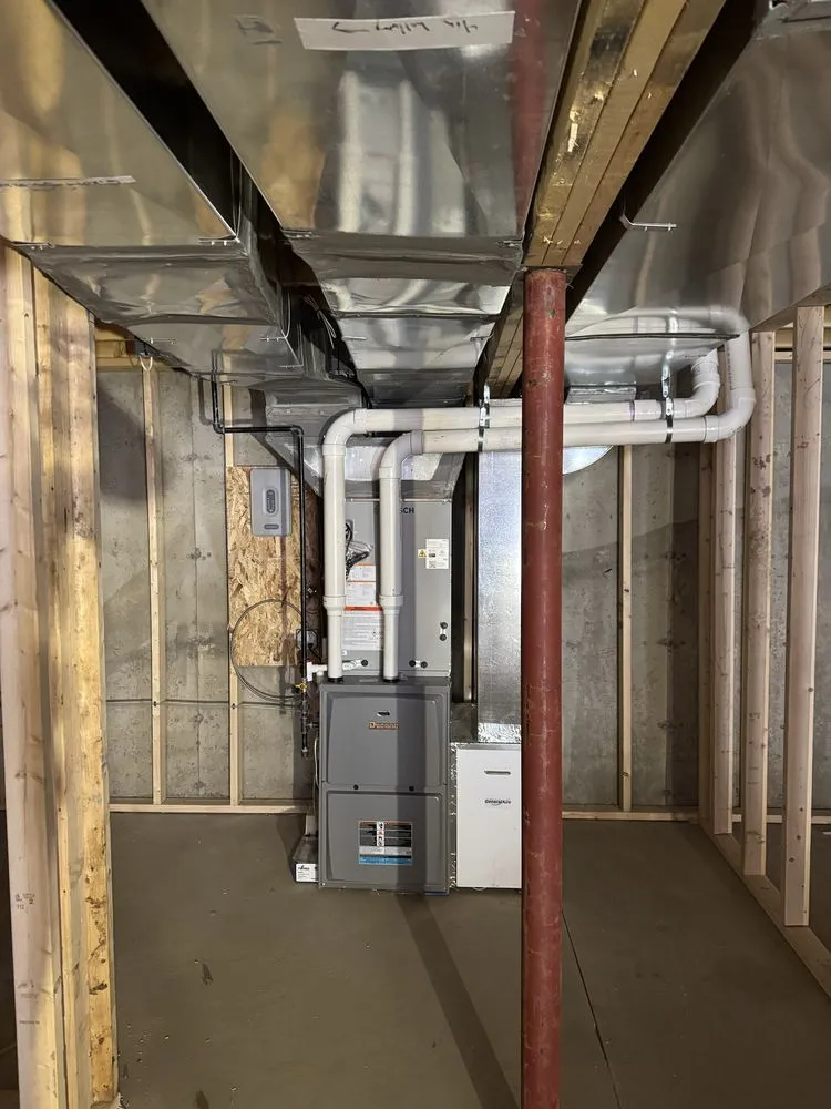 Slide of Red Merle Mechanical