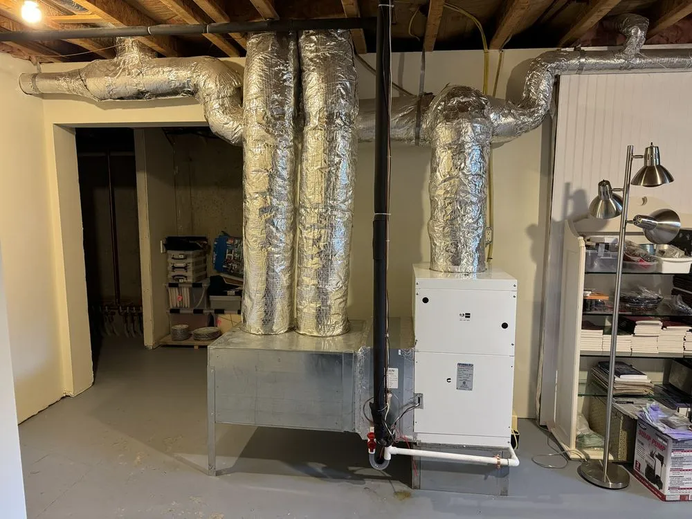 Slide of Red Merle Mechanical