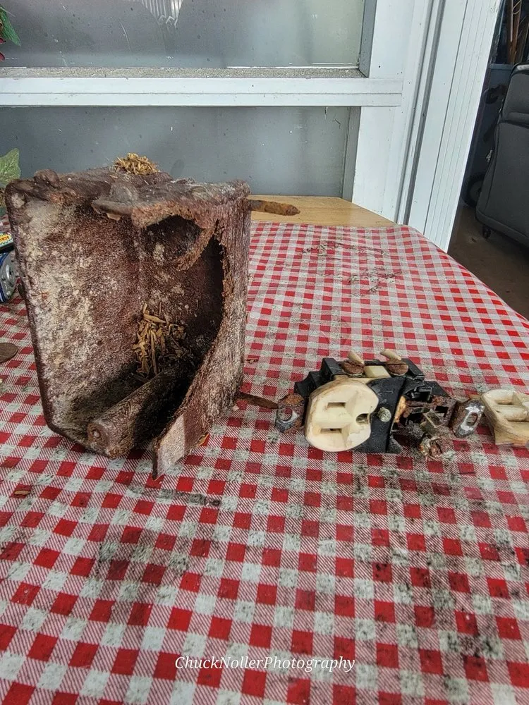 Slide of Red Royal Services