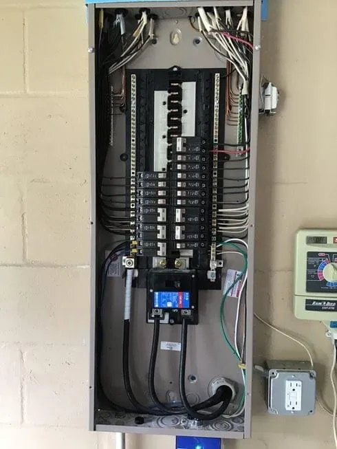 Slide of Red Royal Services