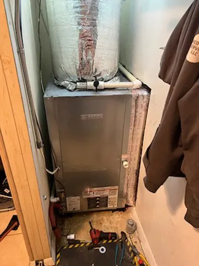 Slide of Red Vine Services